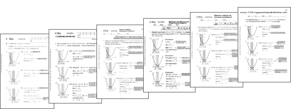 Math worksheets studied in various countries